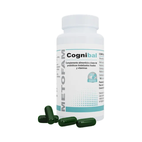 Bote de Cognibal